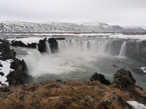 Onze collega Wiske helpt je graag vanuit IJsland (2023) - KienIA